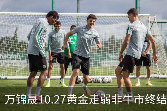 万锦晟10.27黄金走弱非牛市终结，11月或将有反弹出现！